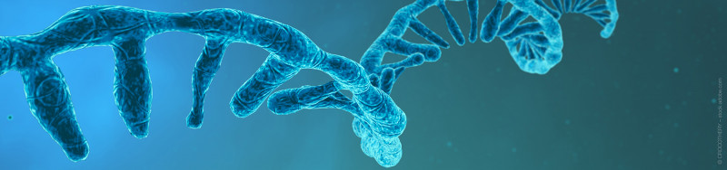 media/image/RNA-Extraction-Banner.jpg